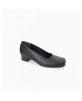 Sapatos femeninos académicos